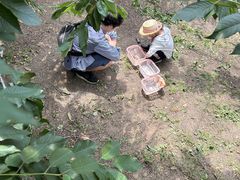 Ȃ݂Ȃ݂̃jgόʎւ̓eʐ^1