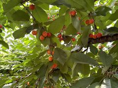 Ȃ݂Ȃ݂̃jgόʎւ̓eʐ^2