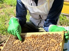 Â邳berich{I@OgRւ̓eʐ^1