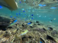 Ă񂳂̉}X^WIւ̓eʐ^1