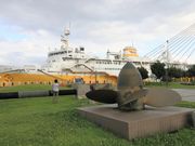 Ƃ񂳂̐ADAVbvbcۂ̓eʐ^1