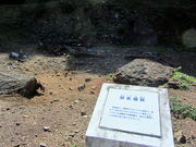 �C�C�ꃉ�C�_�[����̒��o���R�Ղ̓��e�ʐ^3