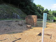 �C�C�ꃉ�C�_�[����̒��o���R�Ղ̓��e�ʐ^4