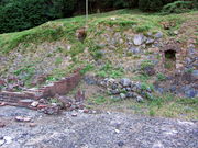 �C�C�ꃉ�C�_�[����̒��o���R�Ղ̓��e�ʐ^5