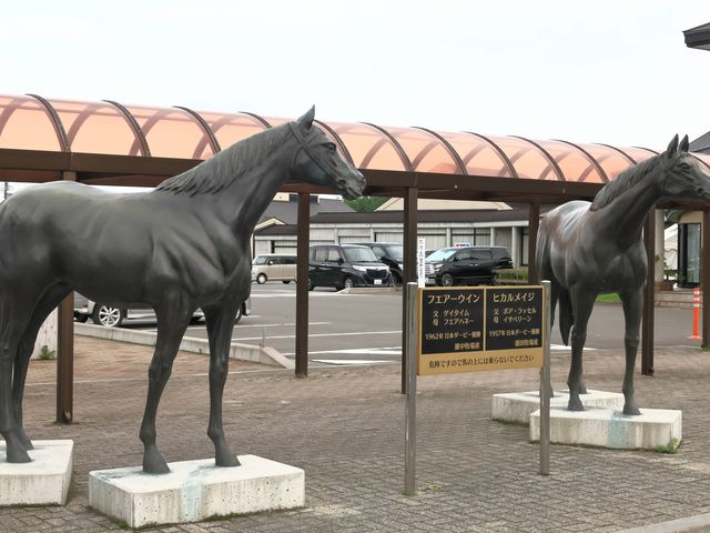 Ƃ񂳂̓̉w ̂ ˒̓eʐ^2