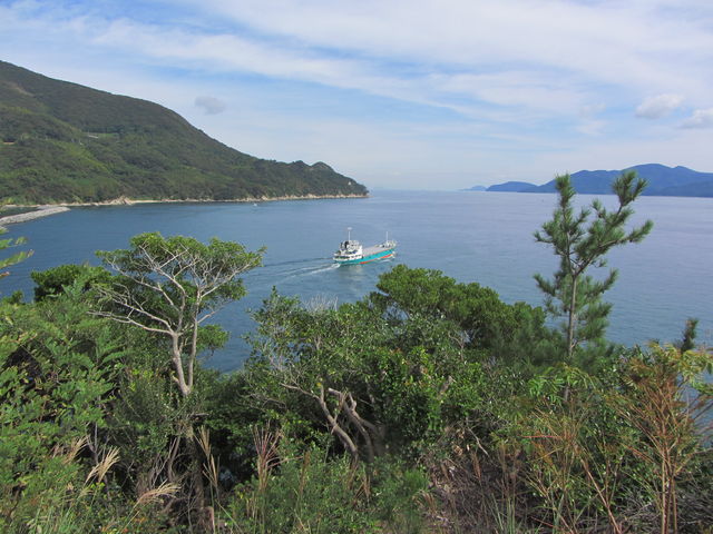 �C�C�ꃉ�C�_�[����̏�֖C��Ձi���Ó��a�R�A�������R�j�̓��e�ʐ^4