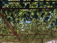 񂳂̐ԍ≀ւ̓eʐ^1