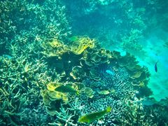 POWER MARINEip[}jꍡAmւ̓eʐ^1