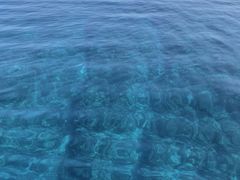 s[̌cǊ(P})C攼cA[X@OPGւ̓eʐ^1