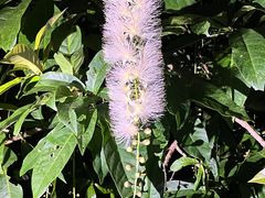 ReẻiCgcA[T[rXւ̓eʐ^1