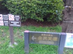 Tv̐_ސ쌧򕶌ɂւ̓eʐ^1