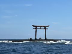 Seafari Japanւ̓eʐ^1