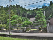 sklfh̐ΐ쌧wL`Ƃ̓eʐ^1