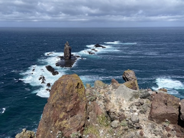 ���R�̗Y�傳�Ɋ���_�_�Ж�