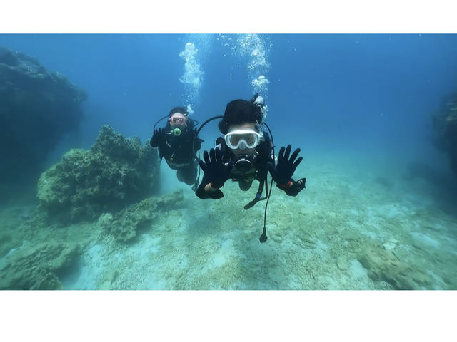 ���q�̃X�L���[�o�[�f�r���[�I_����C ����X