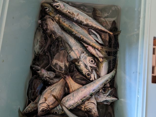 �務_�K�C�h�l�C�`���[�Y�^�C��