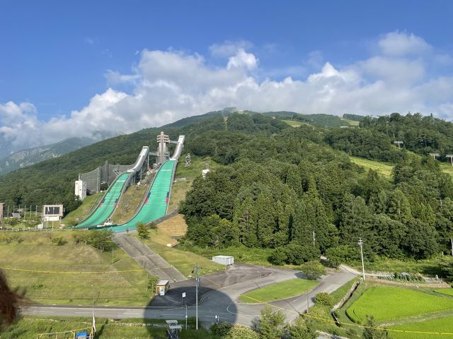 ���n�W�����v��_���n���C�I���A�h�x���`���[