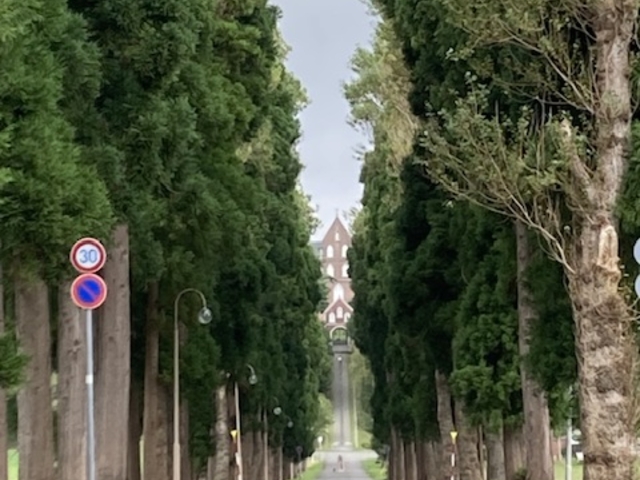 �C���@�Ɍ������Đ^���������т�|�v���Ɛ��̕��ؓ��ł��B_�����V�g�[���̐����C���@�i�g���s�X�g�C���@�j