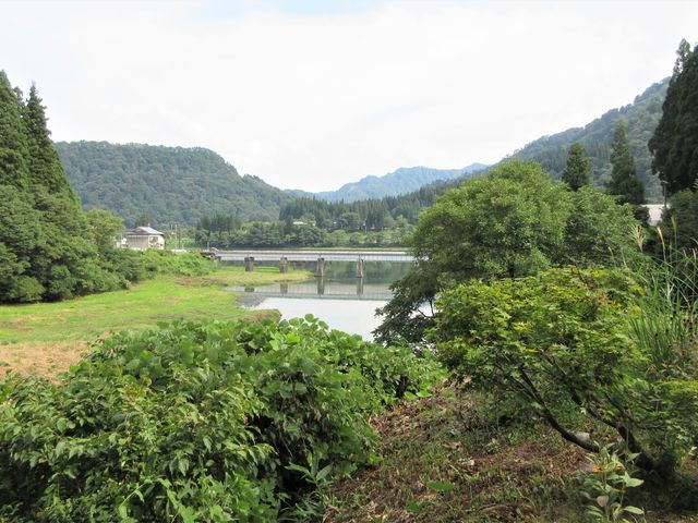 �L�O�ٕt�߂̑f�p�ȕ��i�ʐ^�ł�_�͈�p�V���L�O��