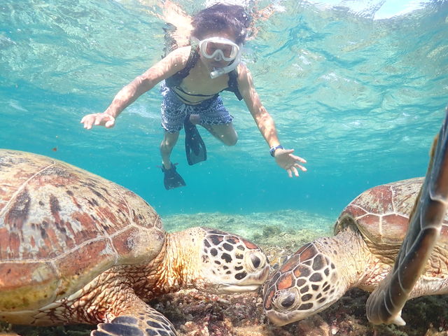 �����E�~�K���̃L�b�X�ɑ����B��Ղ̃^�C�~���O�ɑ����B_CHAMP TOUR �{�Ó�