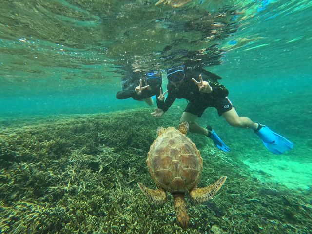 �{�Ó��ō��I_�{�Ó� ADVENTURE PiPi