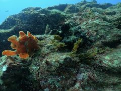 킽ڂ̈ɓ_CrOXN[aJXւ̓eʐ^1