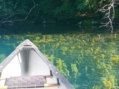 ݂񂳂̃BgJ̓]ւ̓eʐ^1