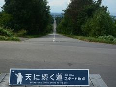 WW̒mΗ Vɑւ̓eʐ^1