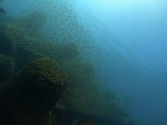 ̈ɓ_CrOXN[aJXւ̓eʐ^1