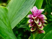 񂳂̕䌧O[Z^[̓eʐ^1