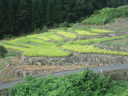 k_bNNo2̑JIcW]̓eʐ^1