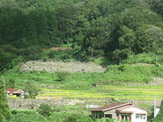 k_bNNo2̑JIcW]̓eʐ^2