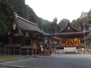 ڂ炳̓gГ{{{a̓eʐ^2