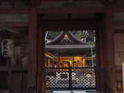 ڂ炳̓gГ{{{a̓eʐ^3