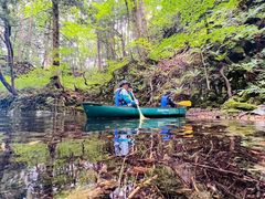 ͂񂳂̃BgJ̓]ւ̓eʐ^1