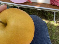 �܂䂳��̖L�y���ւ̓��e�ʐ^1