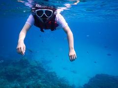 ̌cǊ(P})C攼cA[X@OPGւ̓eʐ^1