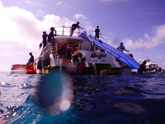 ̌cǊ(P})C攼cA[X@OPGւ̓eʐ^2