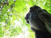 �͂Ȃт���̎u�s�≮�_�Ђ̓��e�ʐ^4