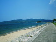 �C�C�ꃉ�C�_�[����̈ɏ�C�l�����x�x�r�[�`350�̓��e�ʐ^5