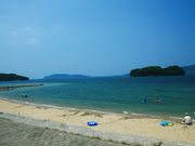 �C�C�ꃉ�C�_�[����̈ɏ�C�l�����x�x�r�[�`350�̓��e�ʐ^6