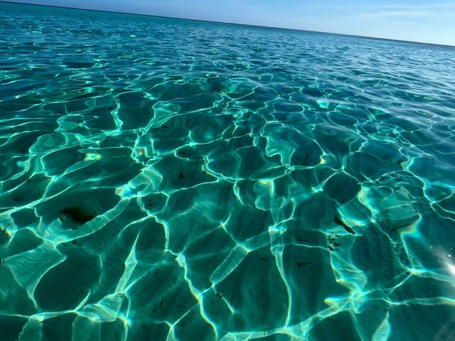 �Y����Ȃ��������C���ł��I_���d�����}�����n�[�g�{�Ó�