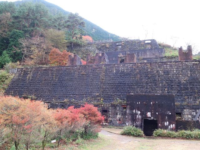 Ђł񂳂̋ʎqRYƈՂ̓eʐ^1