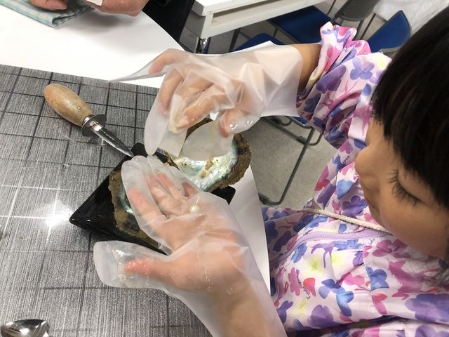 �Ƃ�܂���_PICOLABO