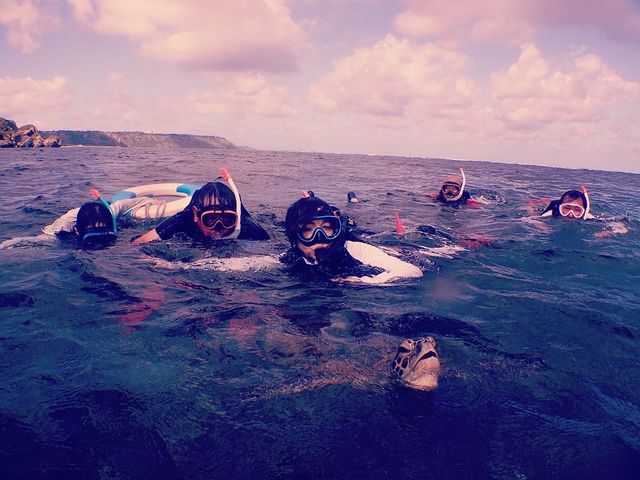 �ڂ̑O�Ɍ��ꂽ�A�C�T�Ɋ����I_SEA ENJOY