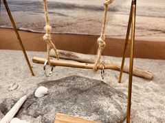 Ȃ񂳂̔MCтH[ւ̓eʐ^1