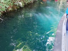 ̂񂳂̃BgJ̓]ւ̓eʐ^1