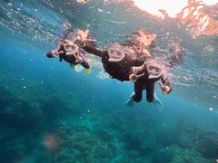 JuRi̐̓AJiT_CrOւ̓eʐ^1