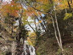 �C���_�C����̔����̑�ւ̓��e�ʐ^1