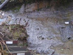 チバニアン（地球磁場逆転地層）の口コミ一覧 - じゃらんnet